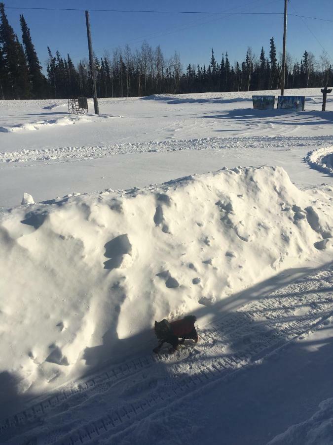 Вилла Fireweed Roadhouse Nenana Экстерьер фото