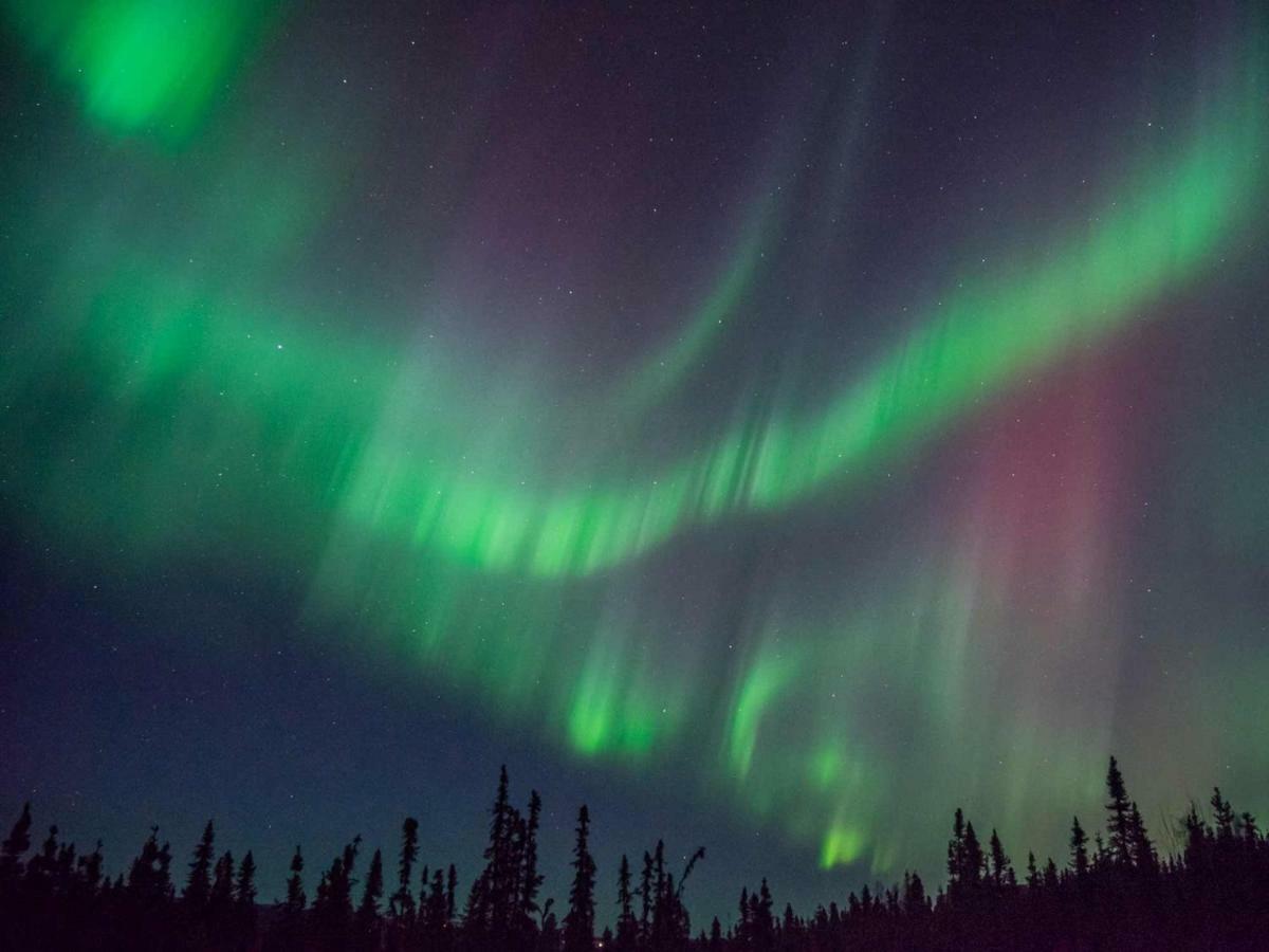 Вилла Fireweed Roadhouse Nenana Экстерьер фото
